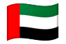 UAE flag